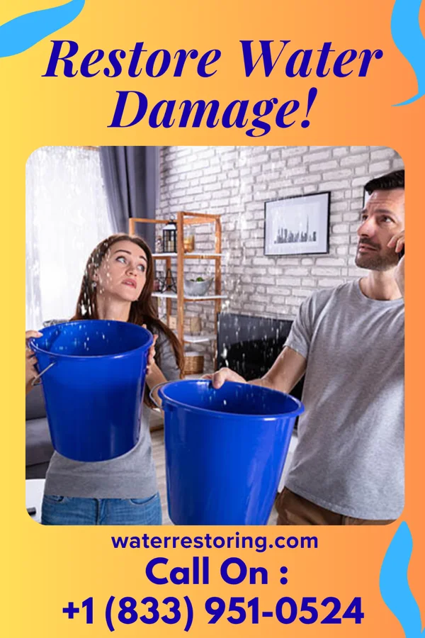 water restoration Solid Flood Cleanup Specialists Edison