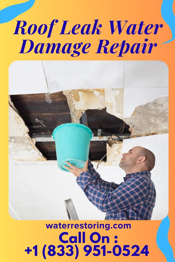 Roof Leak Water Damage Repair in Edison, GA