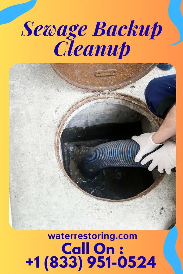 Sewage Backup Cleanup in Edison, GA